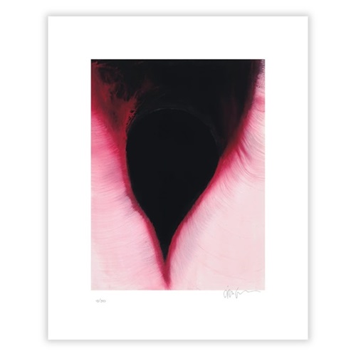 The Dark