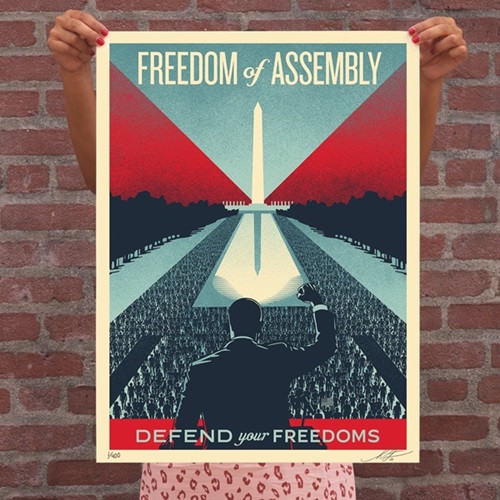 Defend Your Freedoms - Freedom Of Assembly