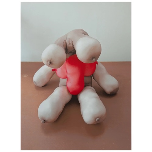 TIt Teddy