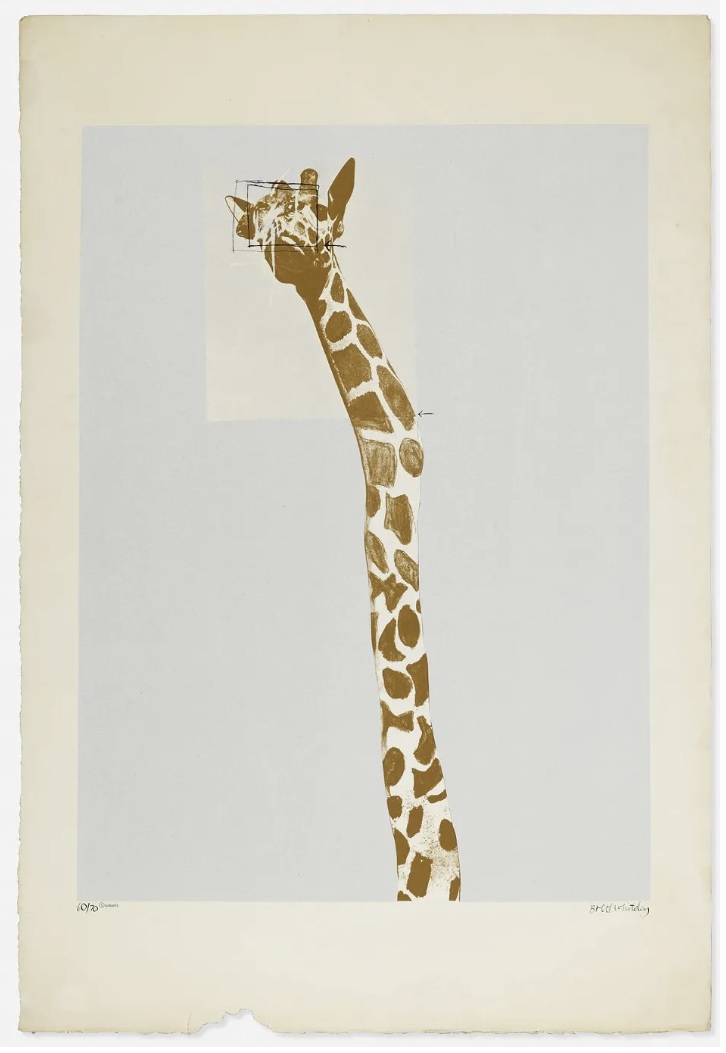 5. Giraffe (from the My Relationship between Screenprinting and Regent's Park Zoo between June and August 1965 series)
