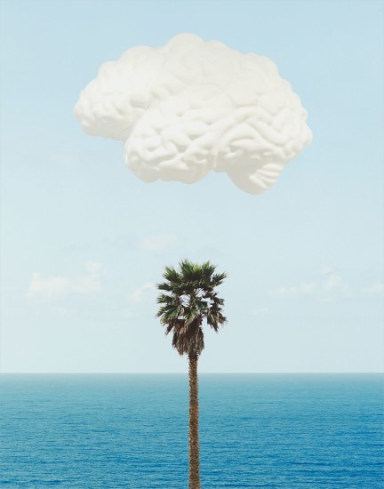 Brain/Cloud (With Seascape and Palm Tree)