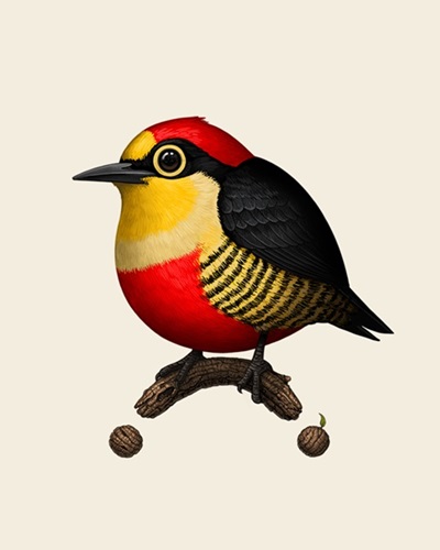 Yellow-Fronted Woodpecker