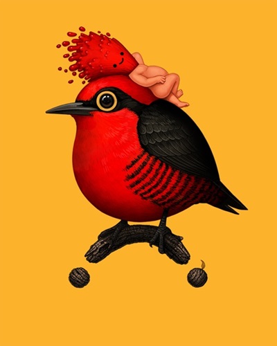 Mike Mitchell - Yellow-Fronted Woodpecker - Yellow Variant
