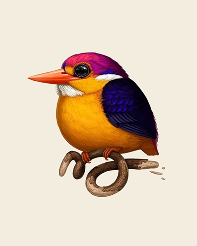 Rufous-Backed Dwarf-Kingfisher