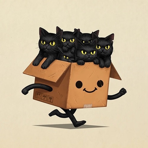 Boxo III (Kitties)