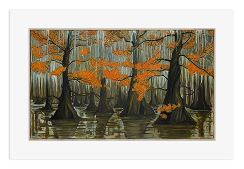 Cypress Swamp, Fall