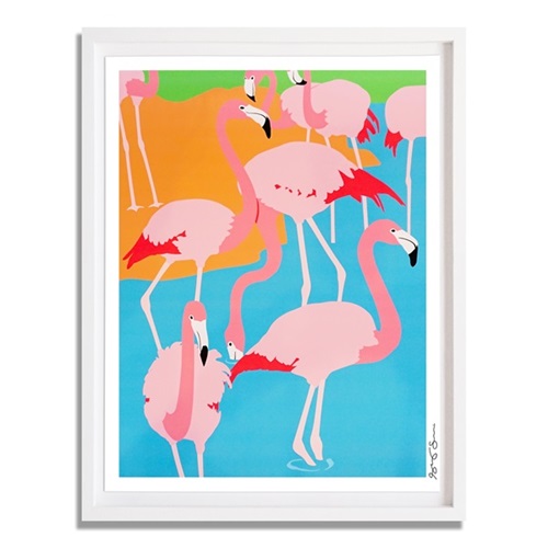 Flamingos