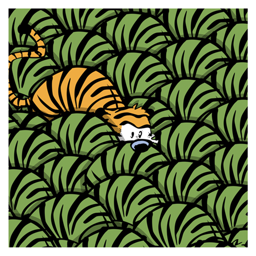 Jungle Cat