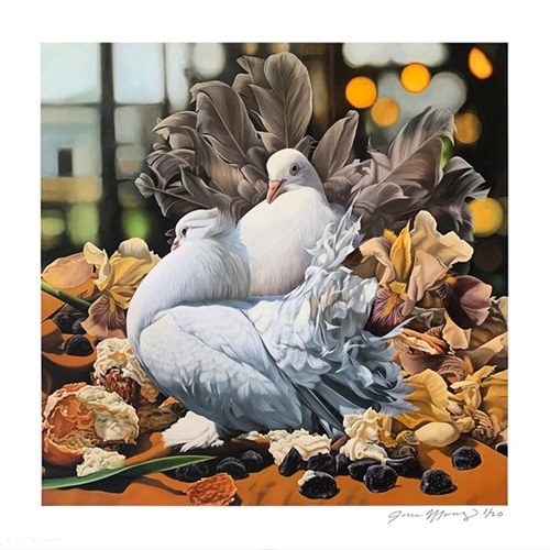 Fancy Pigeons with Cream Puffs, Irises, and Melatonin; Still Wondering: Whether You Dream at All?