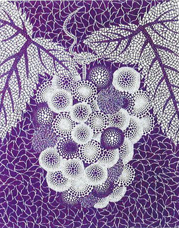 Yayoi Kusama - Grapes (ABE; 2017, 111)